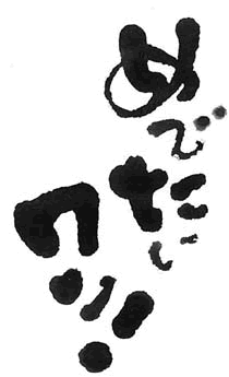 �M���������f��